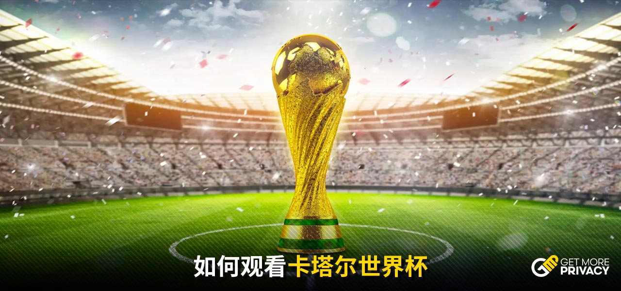 中扮演了至